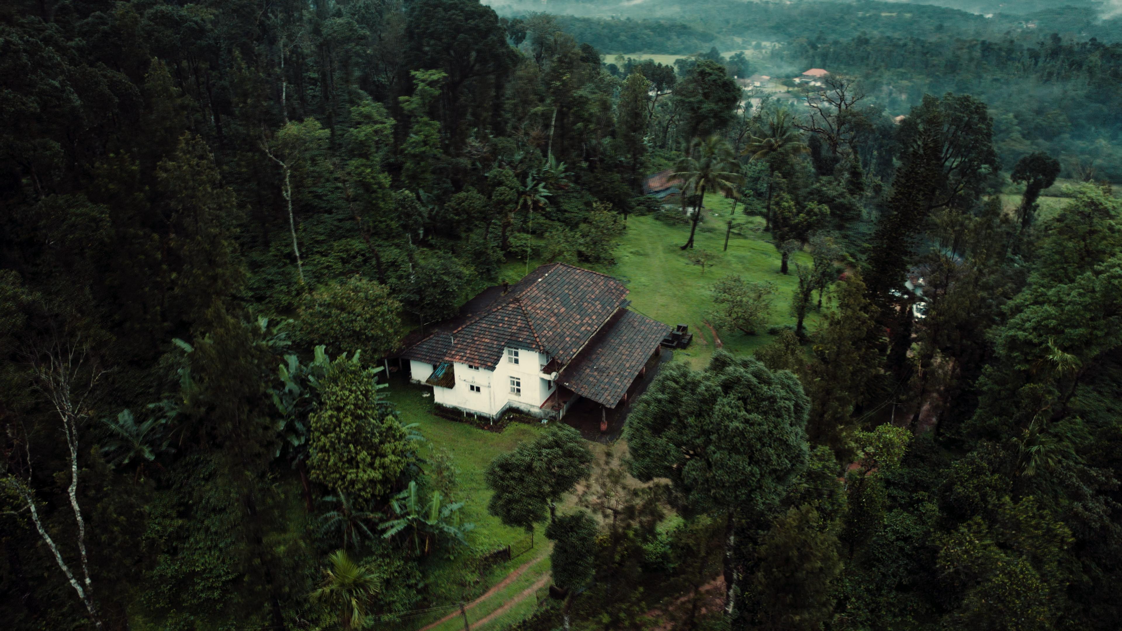 Estate house in forest