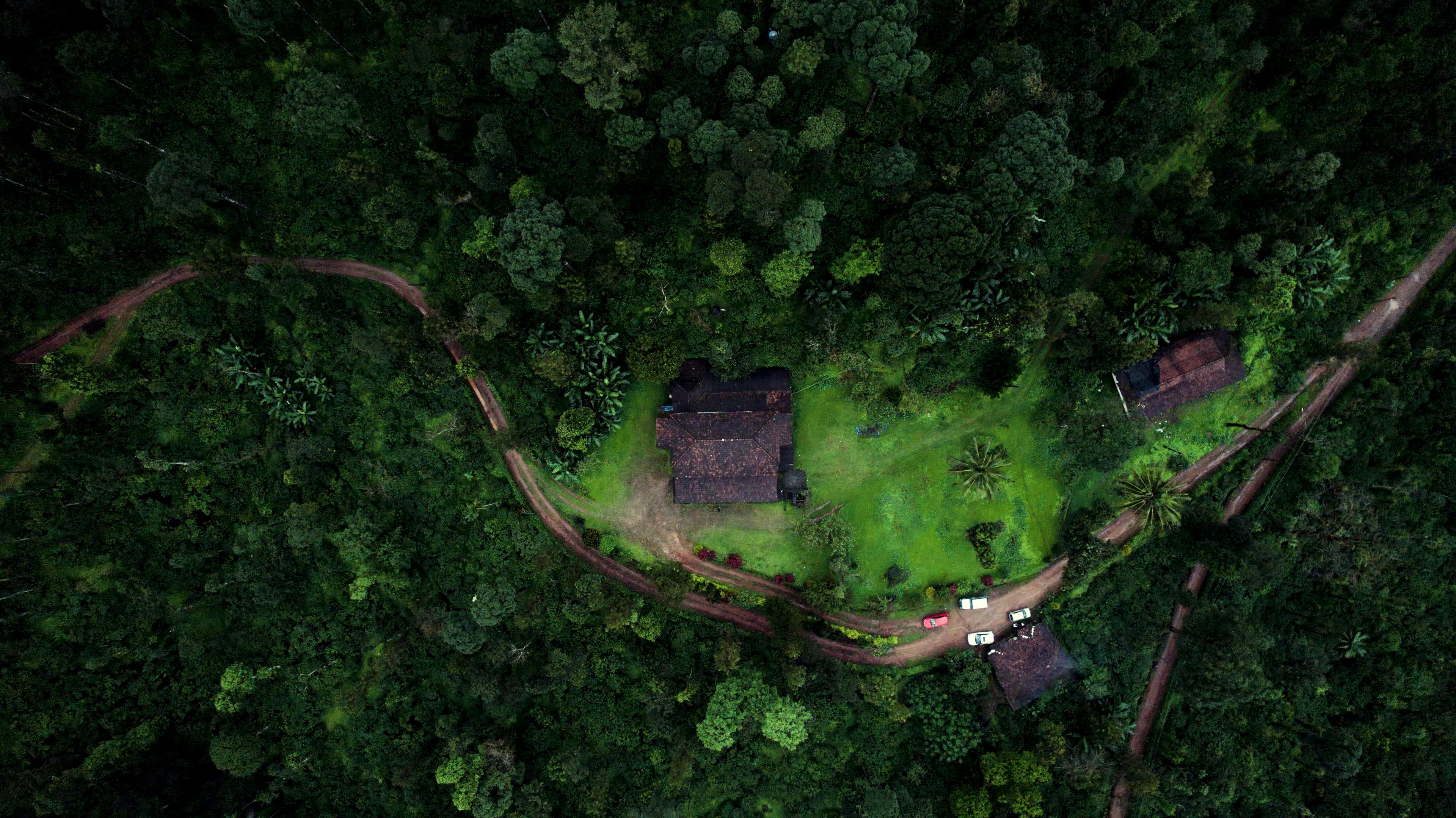 Aerial view of estate buildings among dense trees