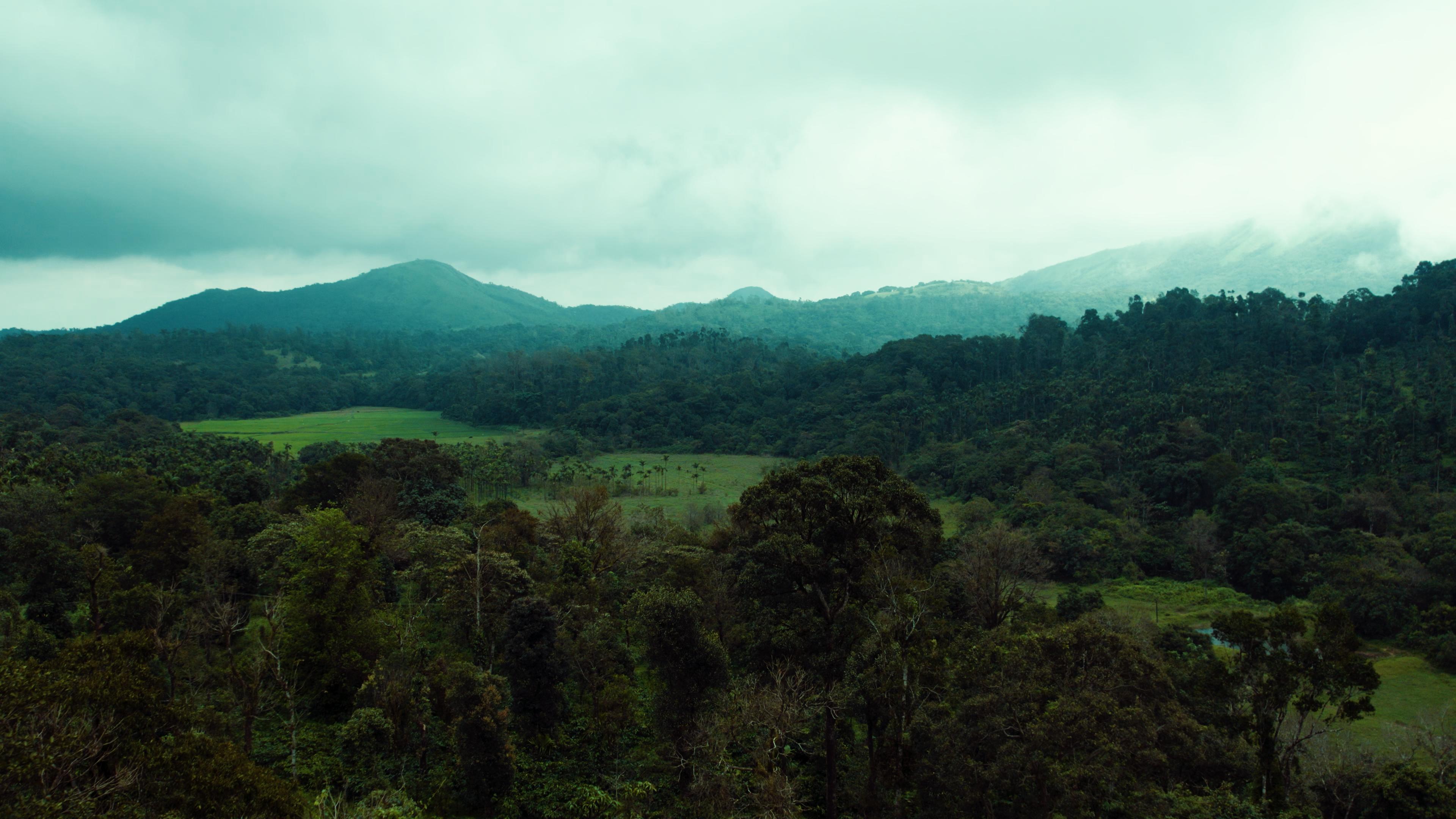 Misty Western Ghats landscape